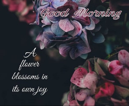 Good Morning Quotes Download || Good morning Quotes download for WhatsApp Good Morning Quotes Download || Good morning Quotes download for WhatsApp