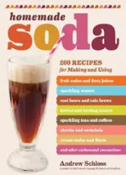 Homemade Soda by Andrew Schloss PDF