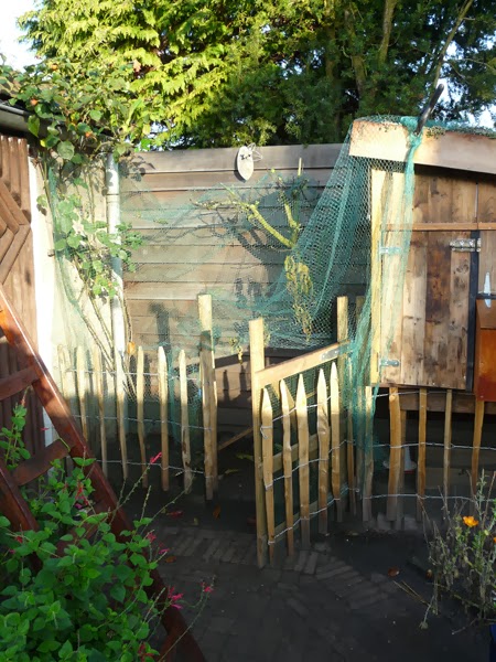 resultaat Defecte Portiek huis-tuin-en-keuken: C: Achterstallig onderhoud kippenren