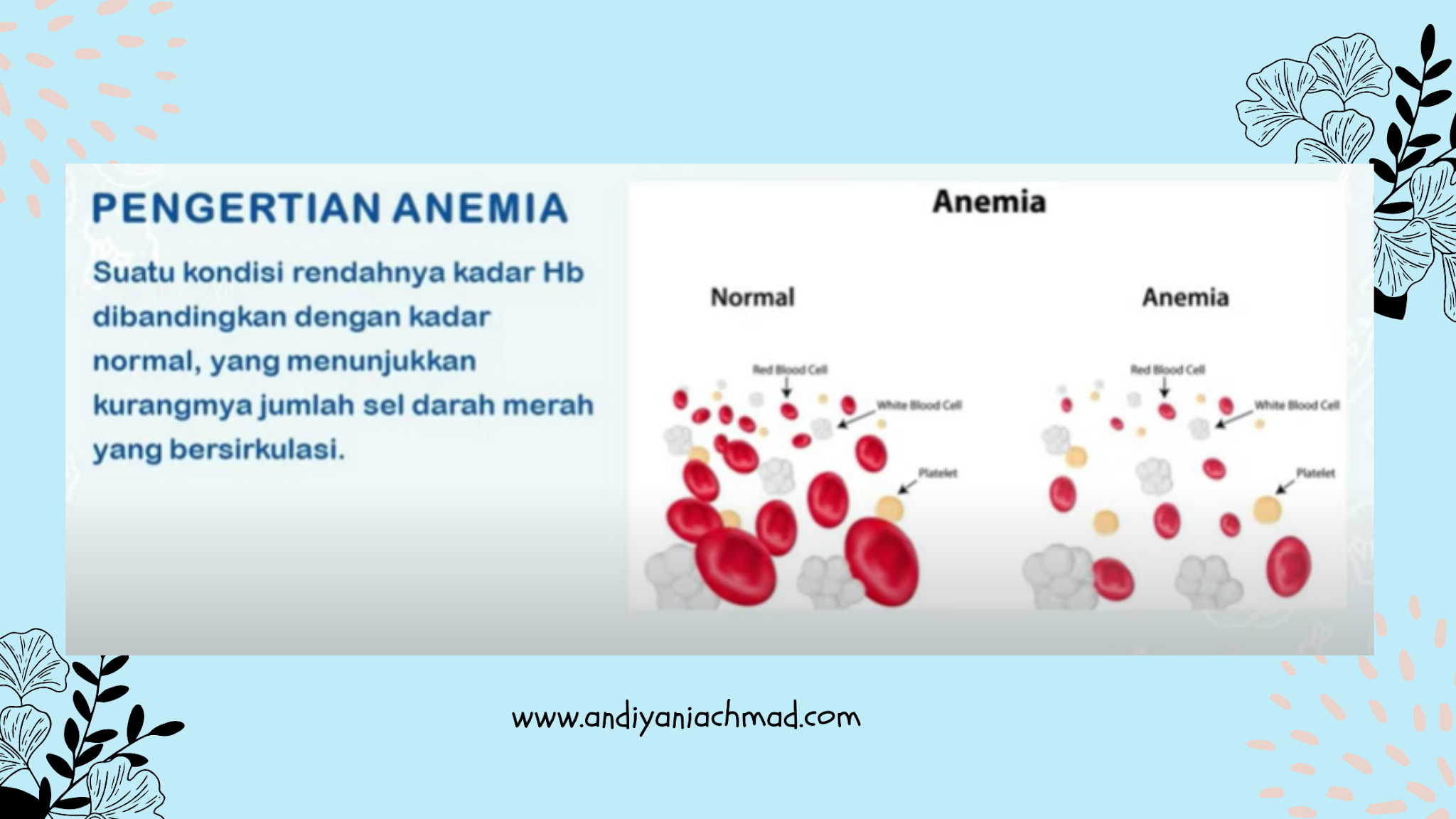 Tentang Anemia.