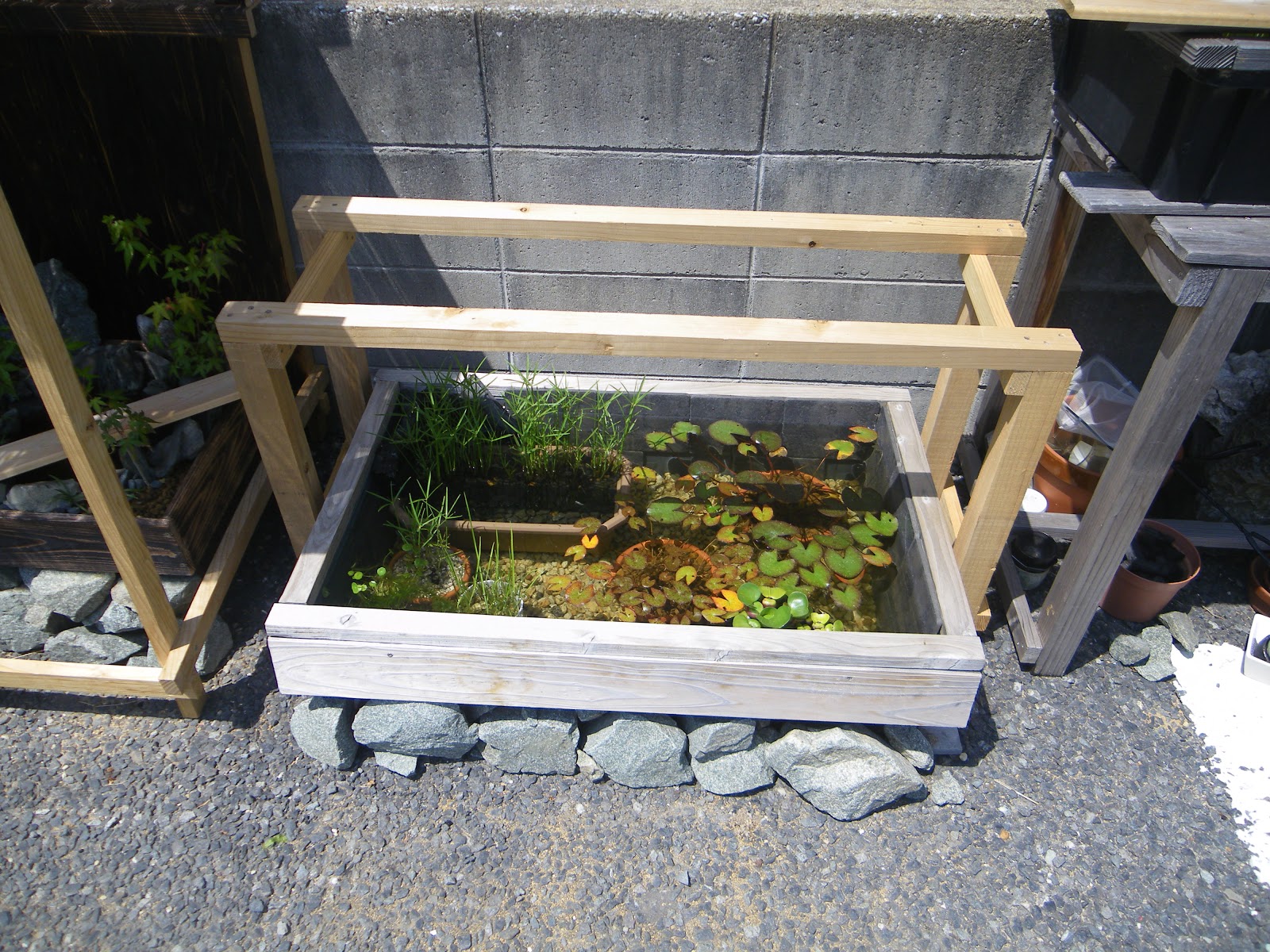 √画像をダウンロード メダカ 屋外 棚 diy 191445 Mbaheblogjpody4