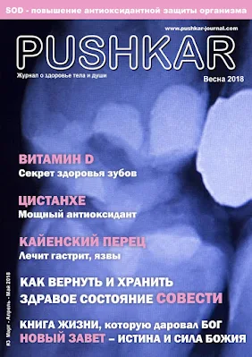 ЖУРНАЛ PUSHKAR №3 ВЕСНА 2018 ЖУРНАЛ PUSHKAR №3 ВЕСНА 2018