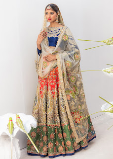 Ali Xheeshan Lehenga Choli Collection