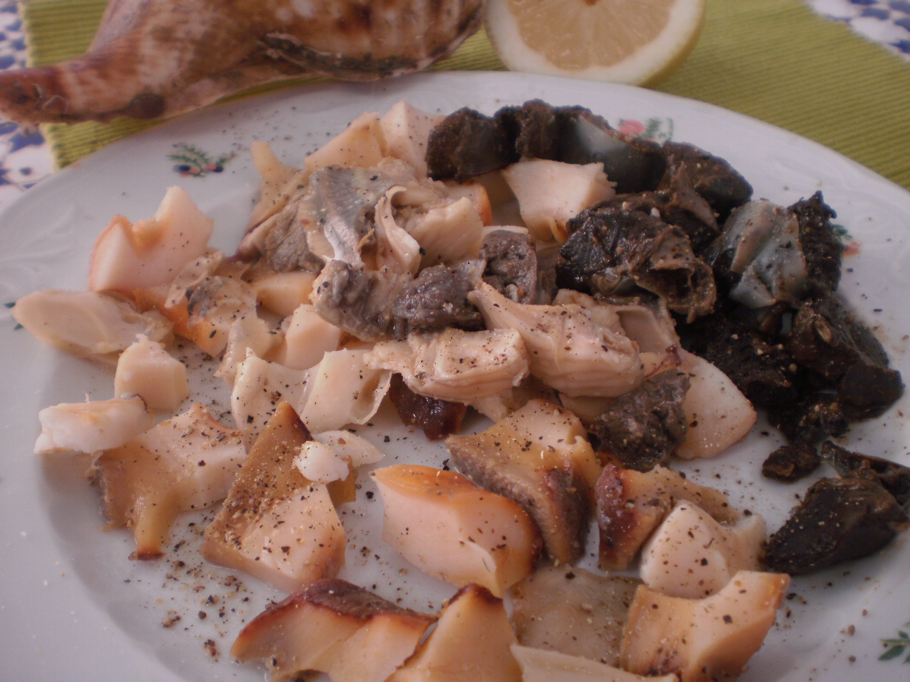 CARACOLA DE MAR COCIDA | Mi Cocina