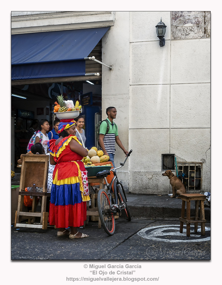 Amateur. Cartagena de Indias, Colombia photo