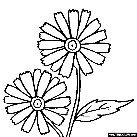 dasiy coloring pages - photo #29