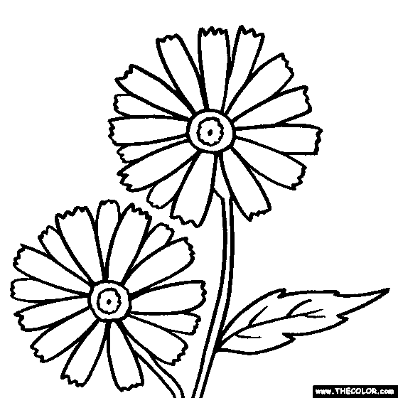 daisy flower coloring pages printable - photo #49