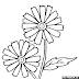 Coloring Pages Of Daisy Flower