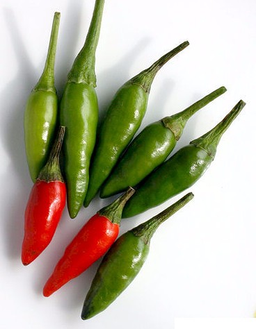 Cabai; Macam dan Penjelasan Thai Pepper