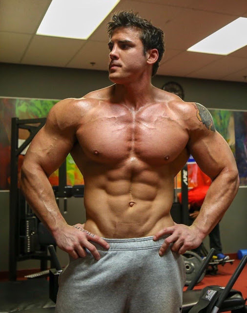 Variety of Hot Muscularity Vibe Men