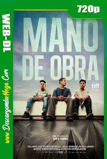 Mano De Obra (2020) HD [720p] Latino