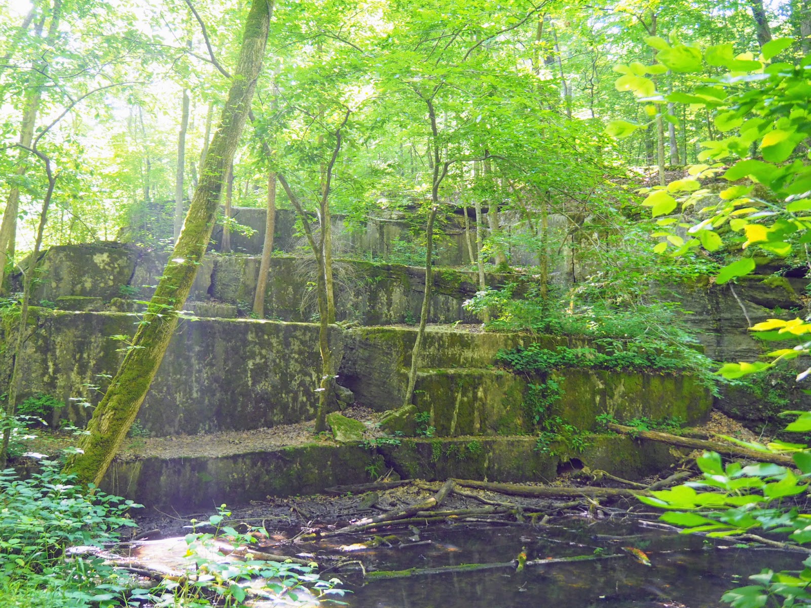 Spencer, IN McCormick's Creek State Park, Old State House Quarry
