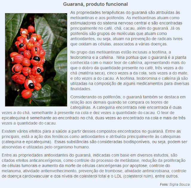 Guaraná, produto funcional