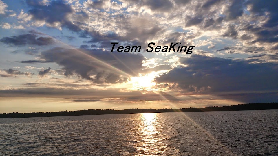 Team SeaKing