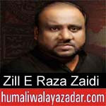 https://www.humaliwalayazadar.com/2014/10/zille-raza-nohay-2012-to-2015.html