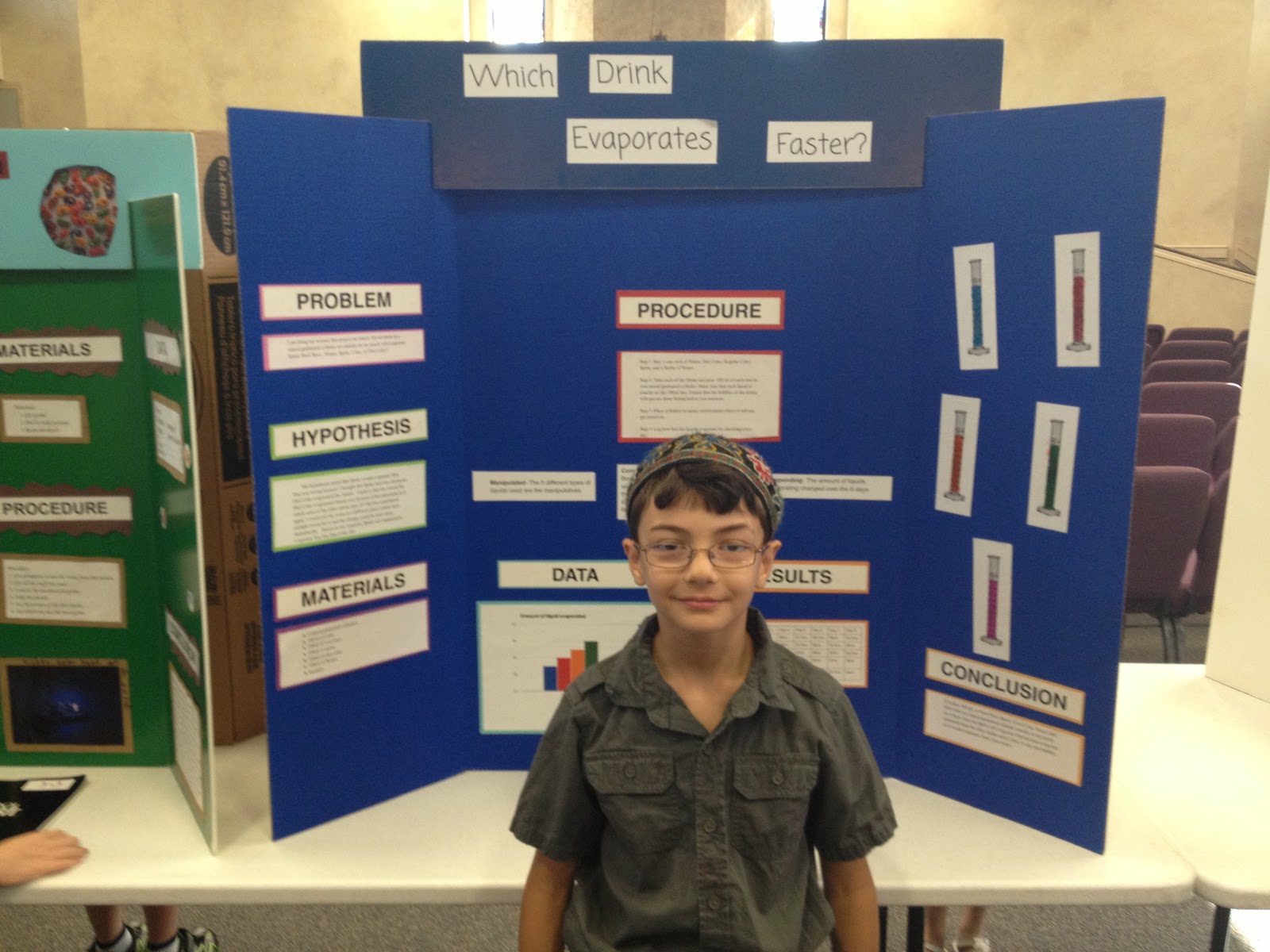 Ms. Social Studies: Science Fair Projects