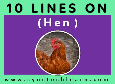 10 lines on Hen in English - Short essay on Hen
