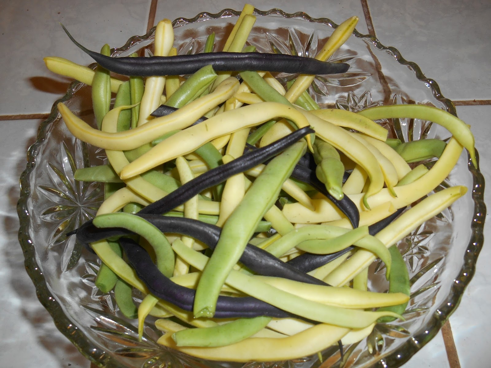 Garden and Kitchen Projects Bush Beans & Beet Greens