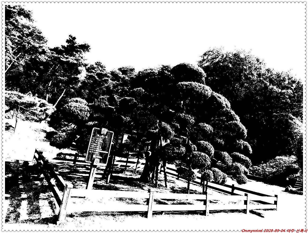 여주 봉미산 신륵사 여주 봉미산 신륵사