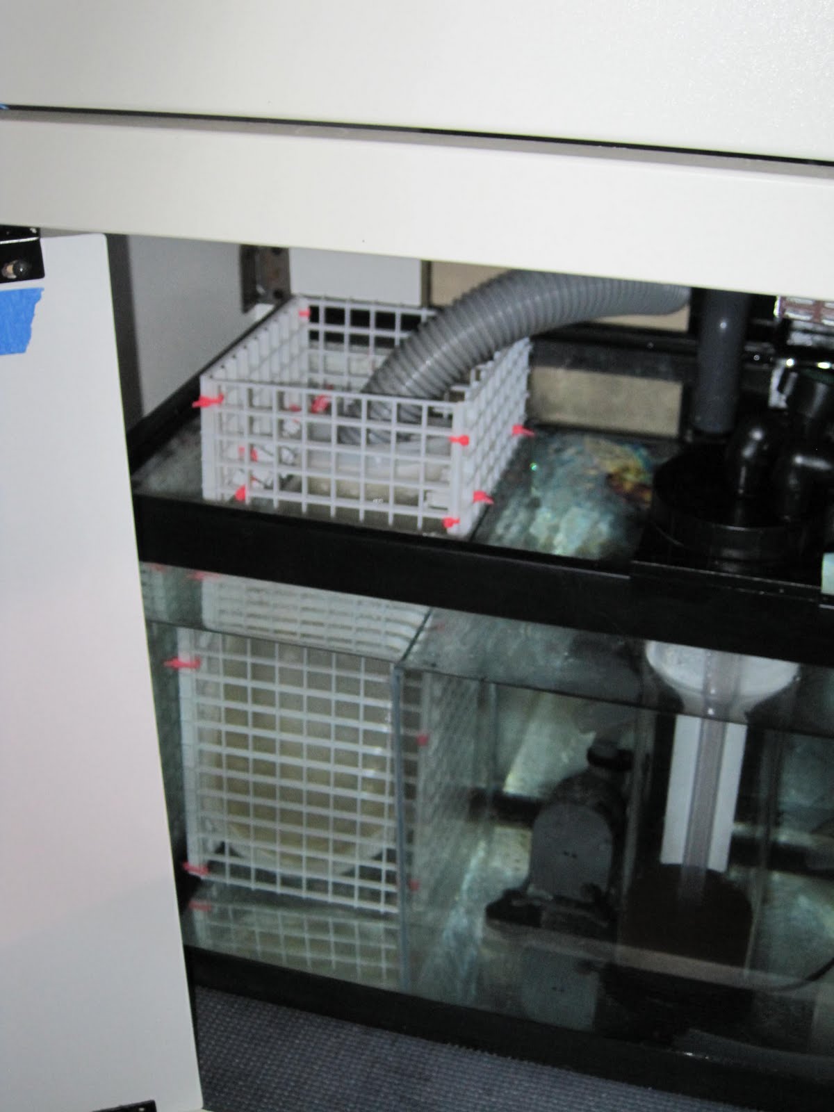 Chromis' Reef DIY Filter Sock Mount