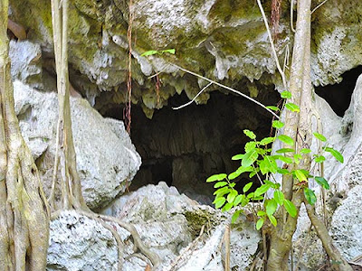 St Helene Roatan My Roatan - Adventures in Creating Nirvana: exploring the helene cave