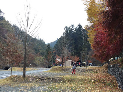 ウッドルーフ奥秩父で秋の紅葉の中遊ぶ兄弟