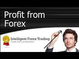 Daily forex signal