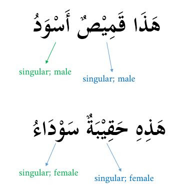 Learn Arabic Colors: Masculine and Feminine Forms