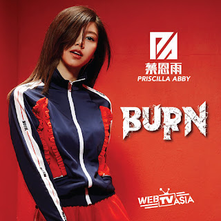 Priscilla Abby 蔡恩雨 - Burn Lyrics 歌詞 with Pinyin