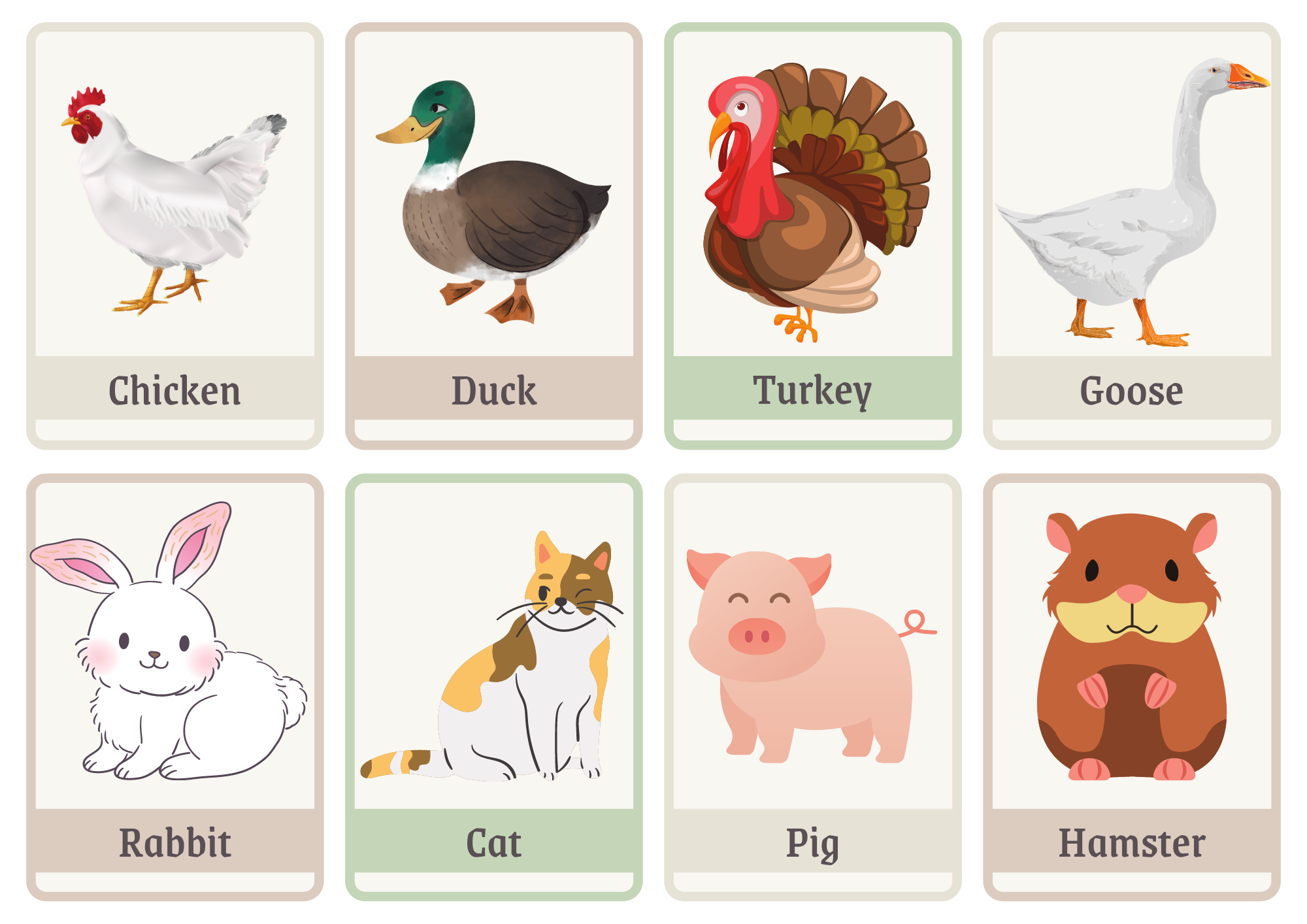 DOMESTIC ANIMALS FLASHCARD