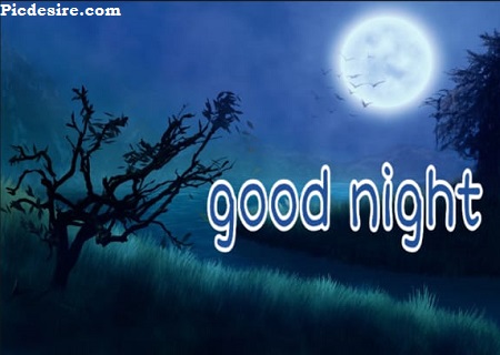 Good Night Photos | Best 22 Good Night Photo Good Night Photos | Best 22 Good Night Photo