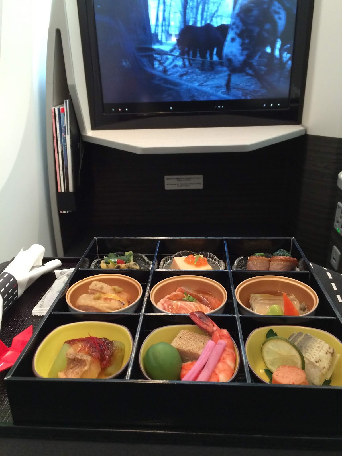 Japan Airlines to add SFONRT route