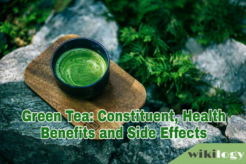 Green Tea Constituents, Health Benefits and Side Effects wikilogy