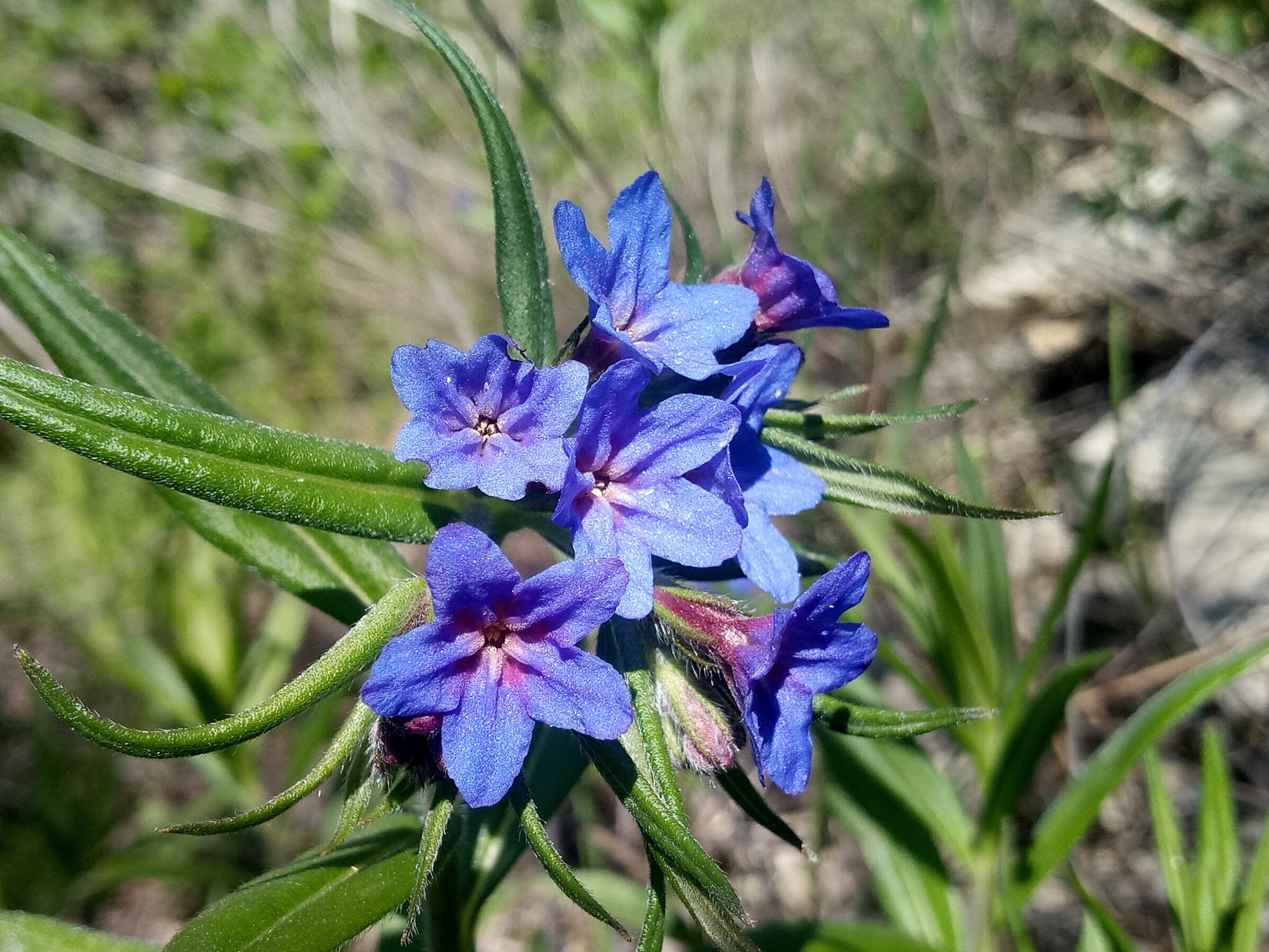 Показательные фотографии