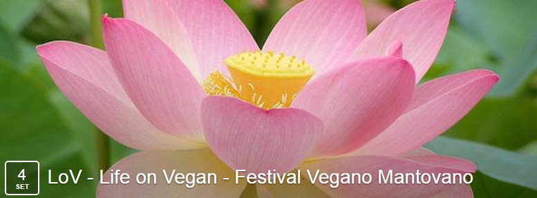 LoV Life on Vegan - Festival Vegano Mantovano