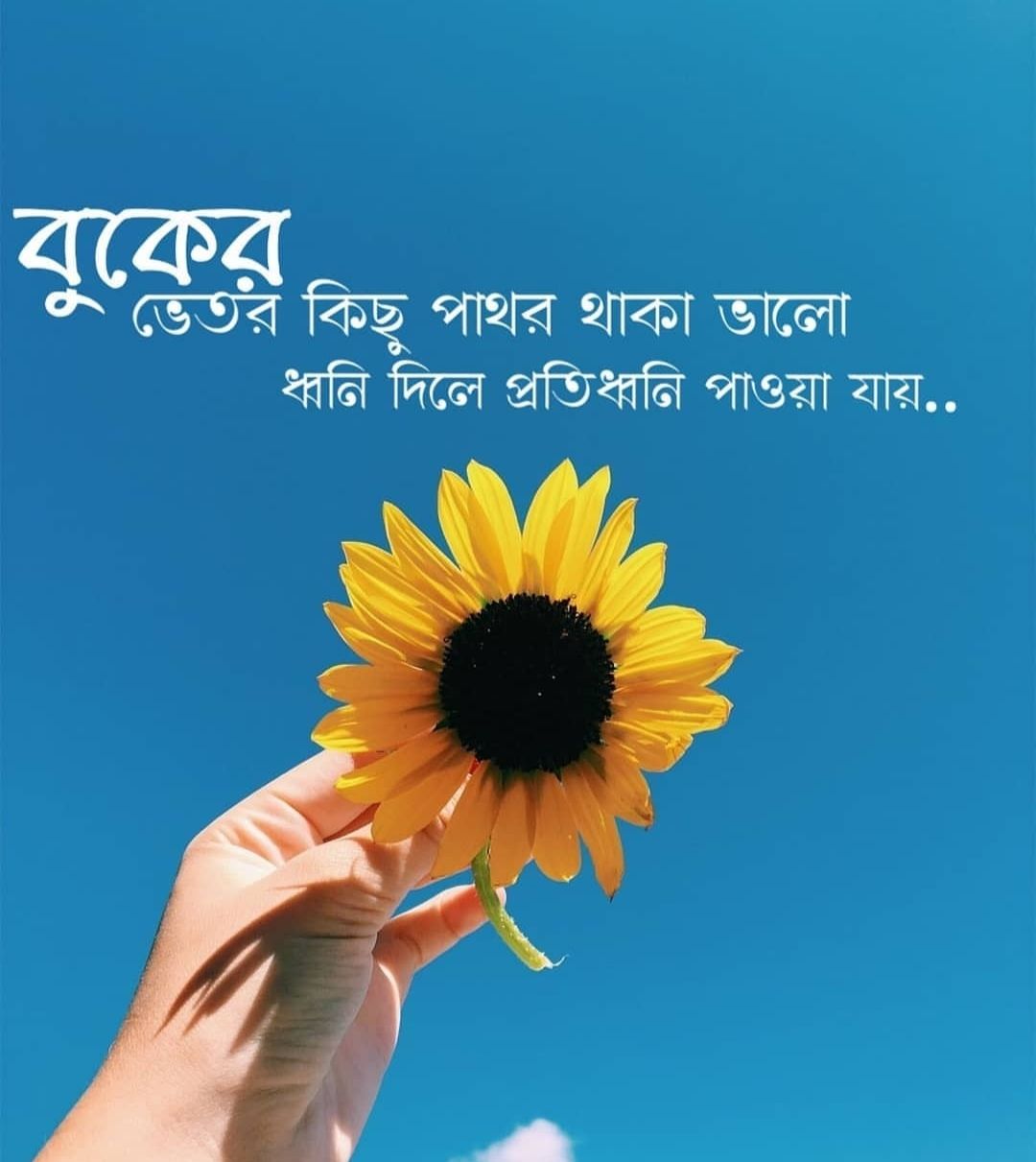 Bangla Love Kobita Image Wallpapers Download Bengali Love Romantic