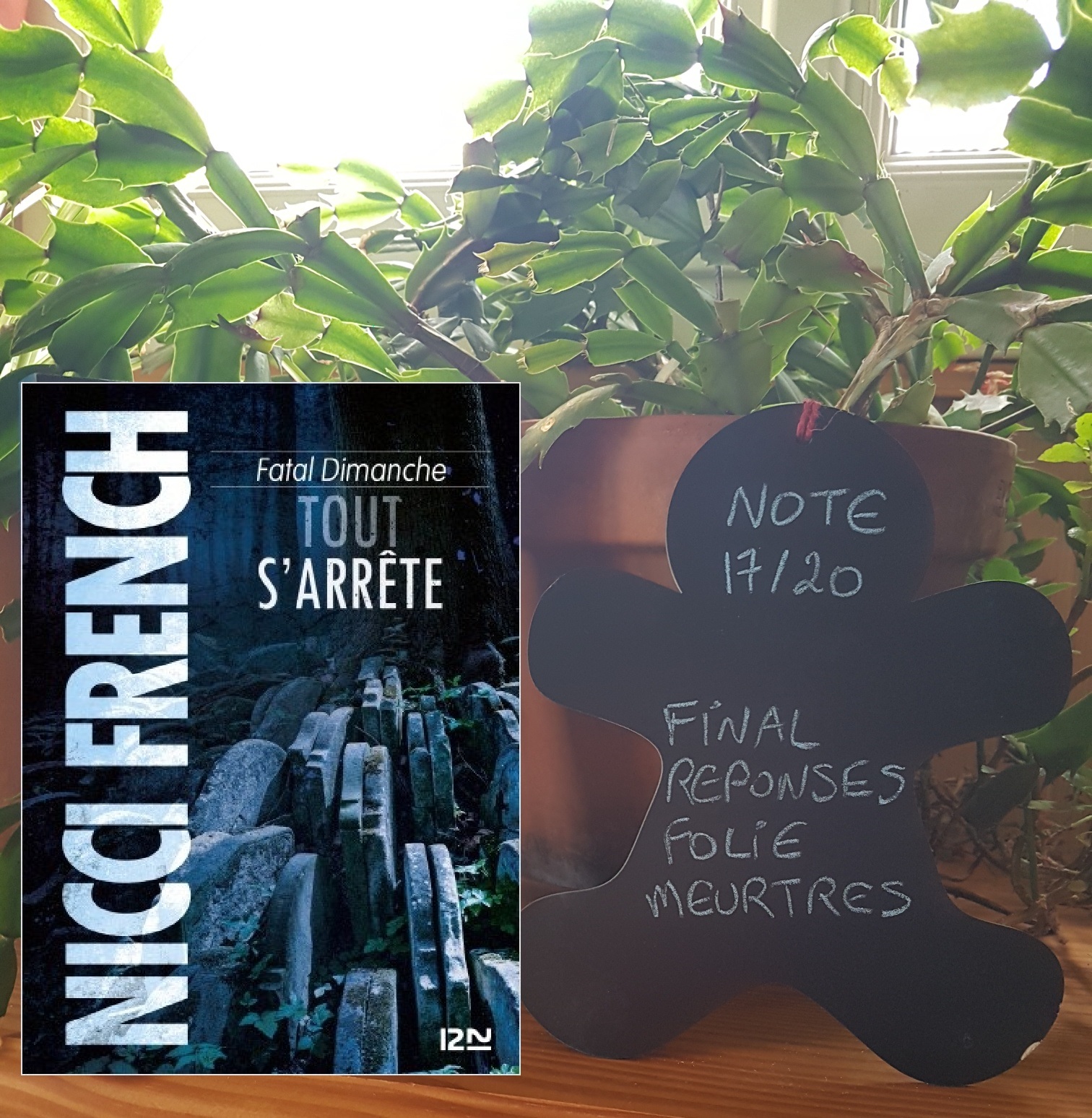 Les lectures de Mylène Frieda Klein,