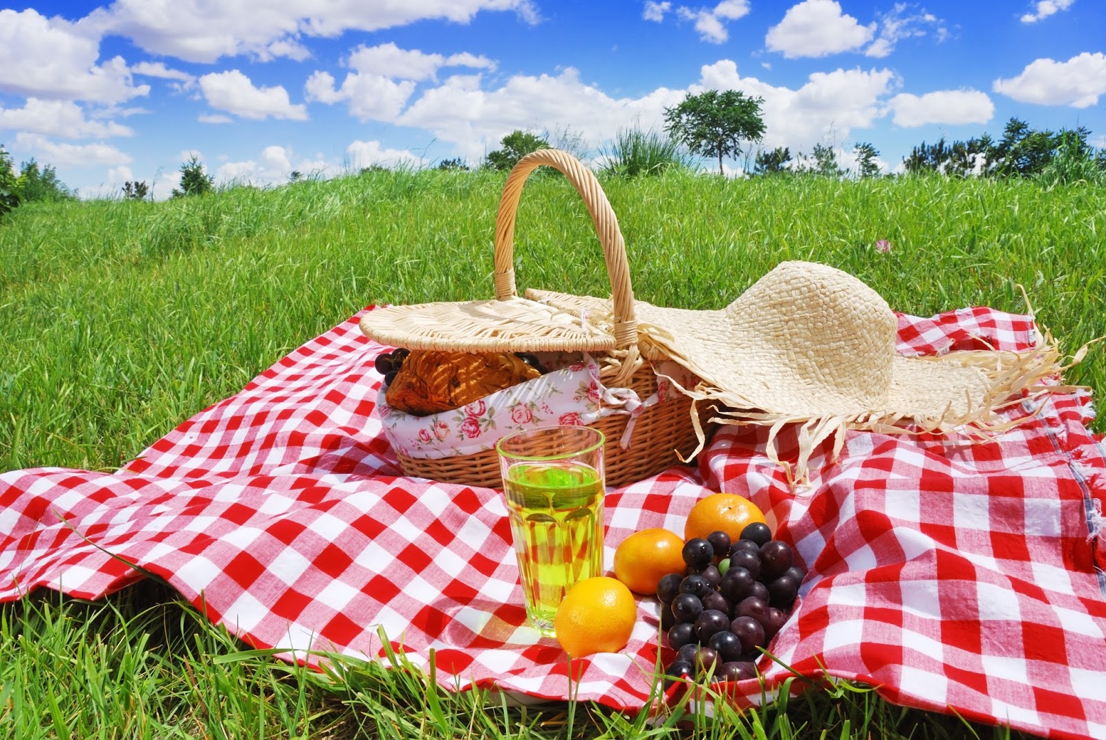 STARDREAMING With Sherry Blue Sky: Picnic STARDREAMING With Sherry Blue Sky: Picnic