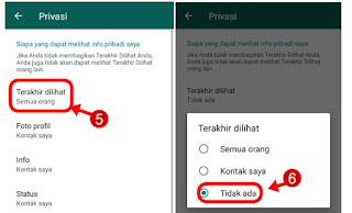 menghilangkan status online di whatsapp