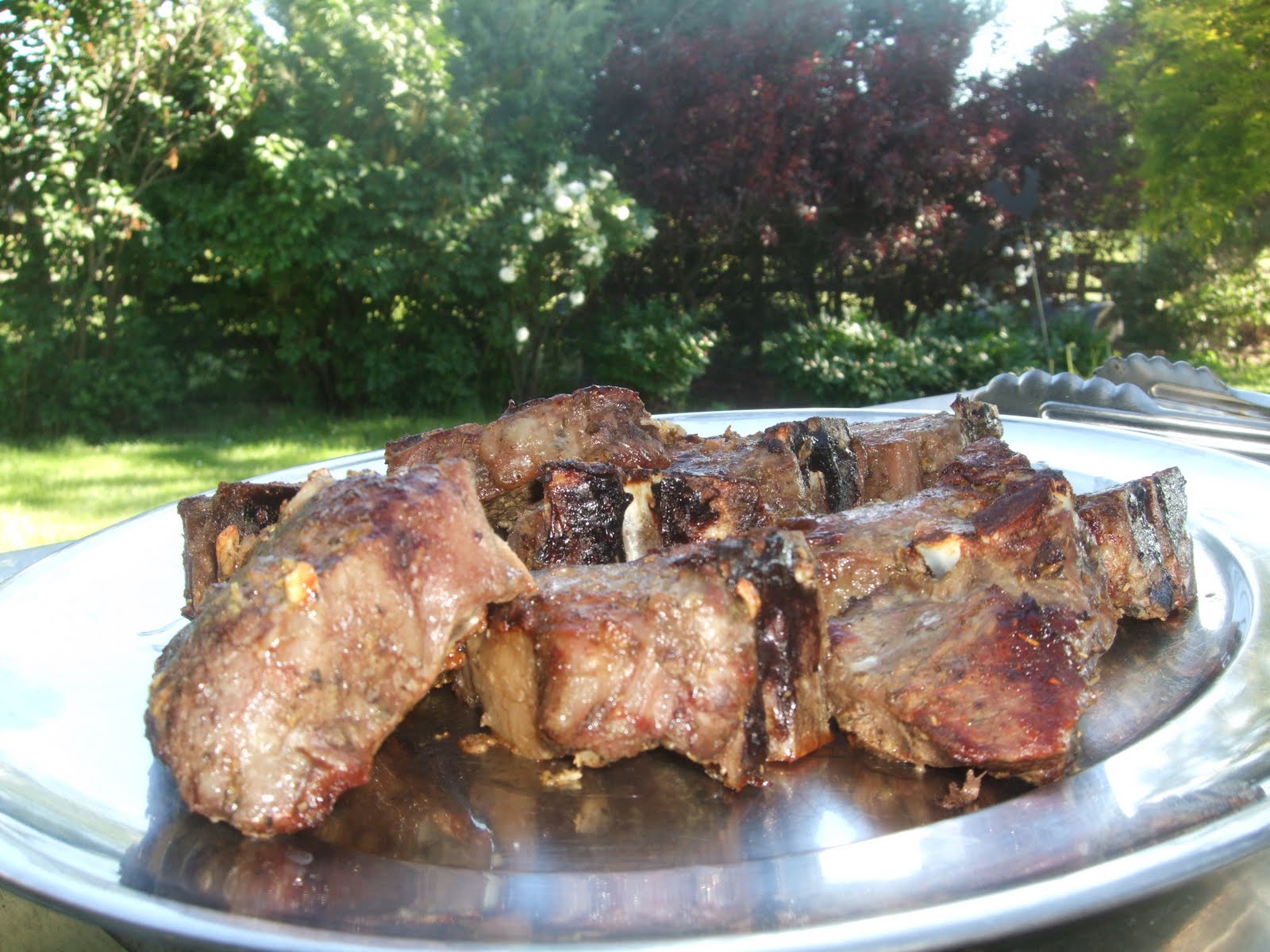 Herbes de ProvenceCrusted Lamb Chops