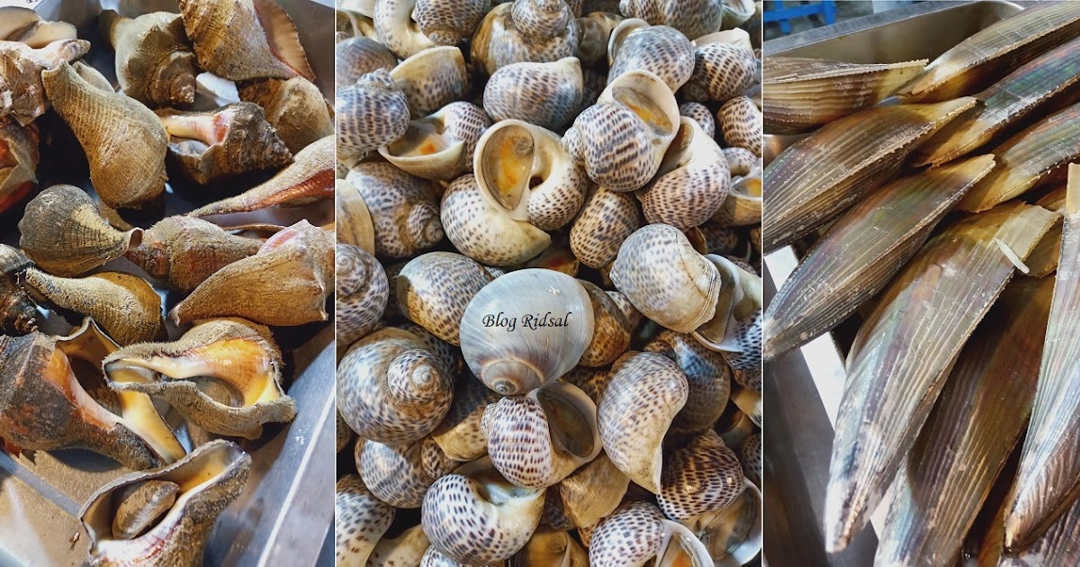 Mencoba Aneka Kerang di Pulau Kerang