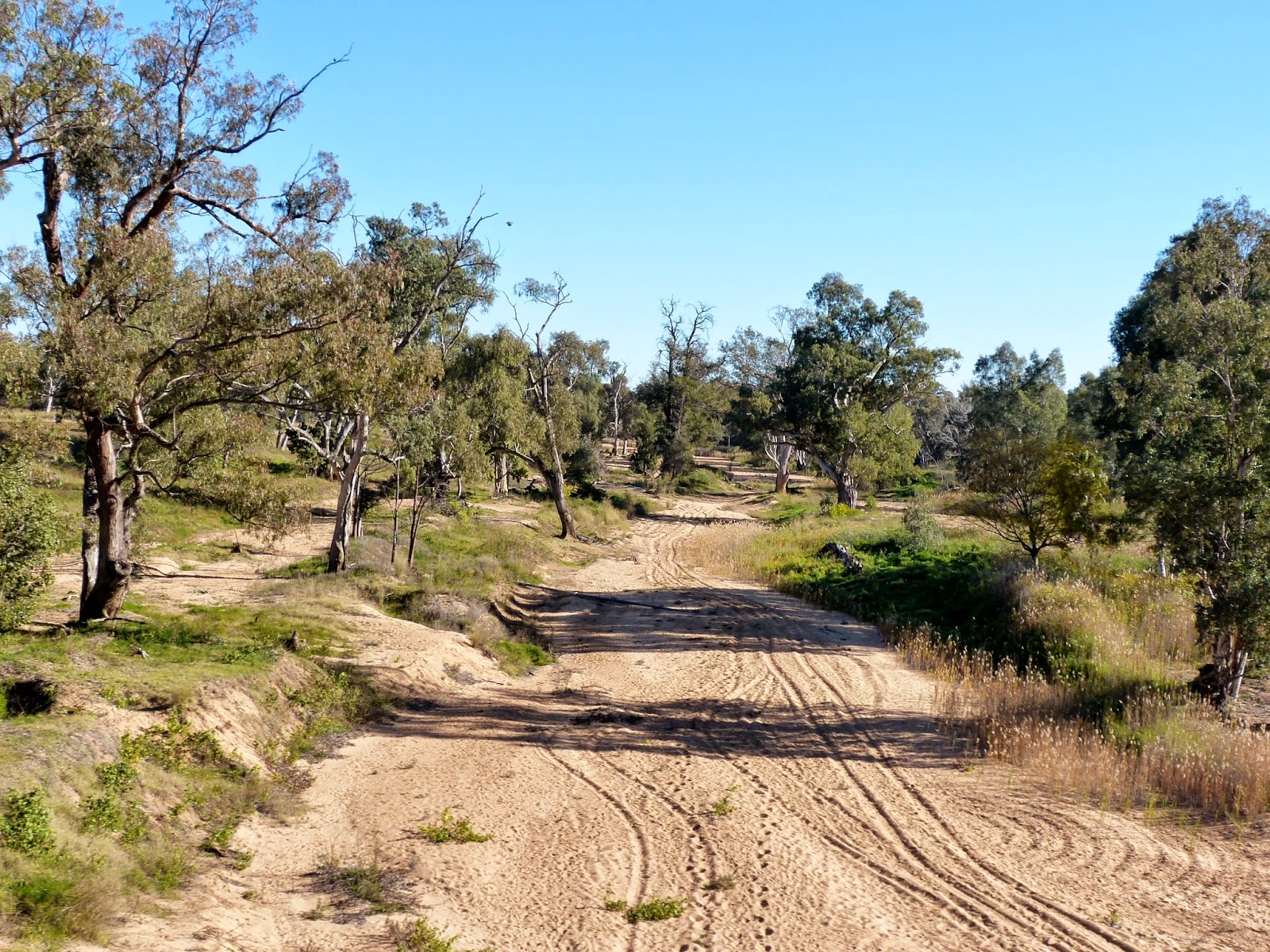 Musing Round Australia Gulargambone 3 July 2014
