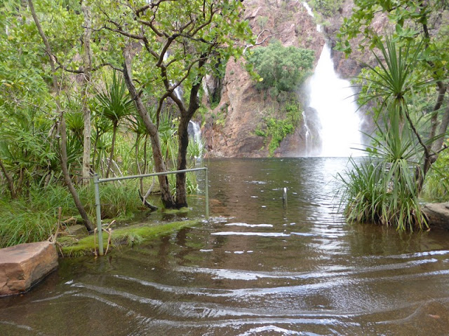 Wangi Falls desbordadas tras las lluvias