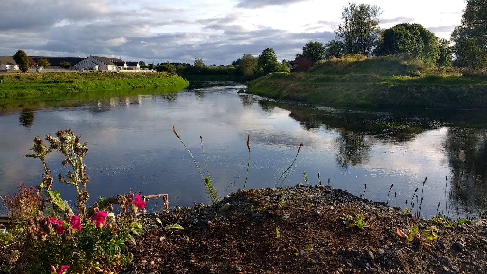 A Passion For Cards Foxford, Co. Mayo