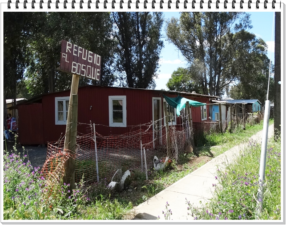 El Vecinal BULNES (Chile), domingo 19 de noviembre de 2017