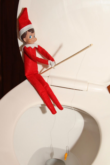 Gummy Bears and Pony Tails: Elf Fishing in Toilet