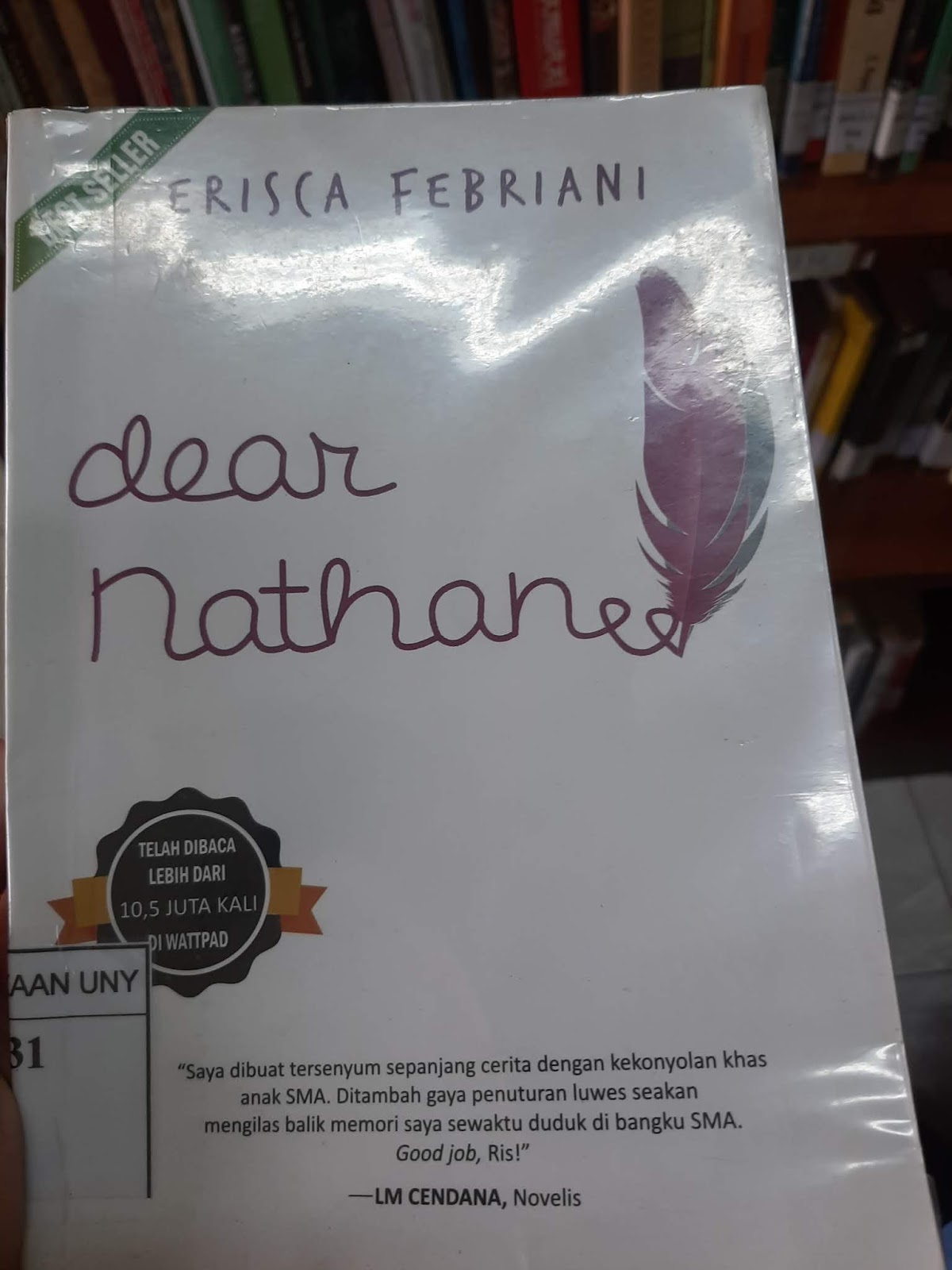 Resensi Novel Dear Nathan