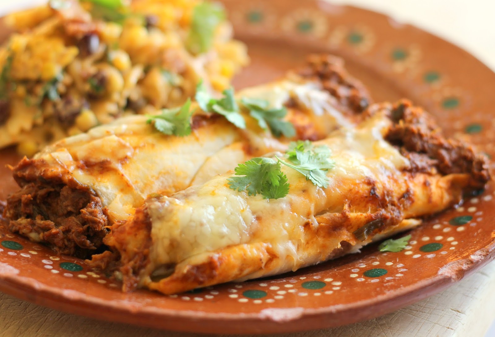 Sunny Days With My Loves Adventures in Homemaking Carne Asada