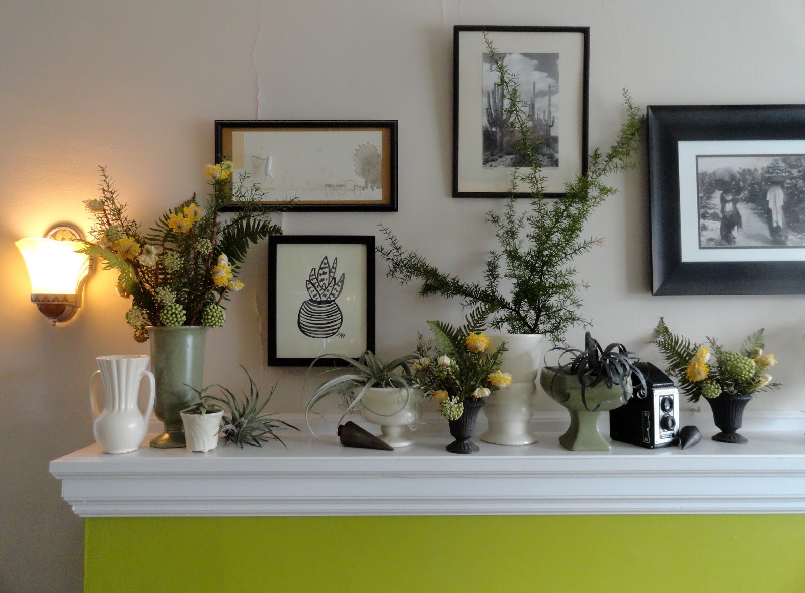 danger garden In a Vase on Monday; time to prune the Edgeworthia