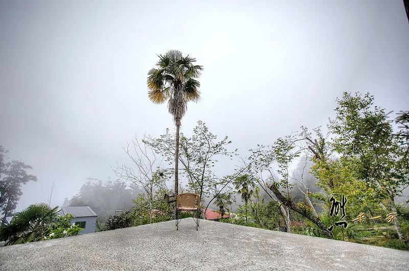 龍雲休閒農場環境|阿里山賞櫻住宿選擇